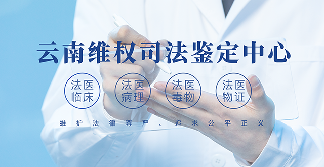 手机端幻灯二
